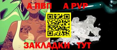 спиды Кимры
