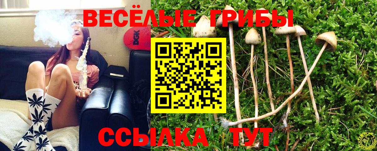 Энгельс  Галлюциногенные грибы мицелий  Вход с VPN 